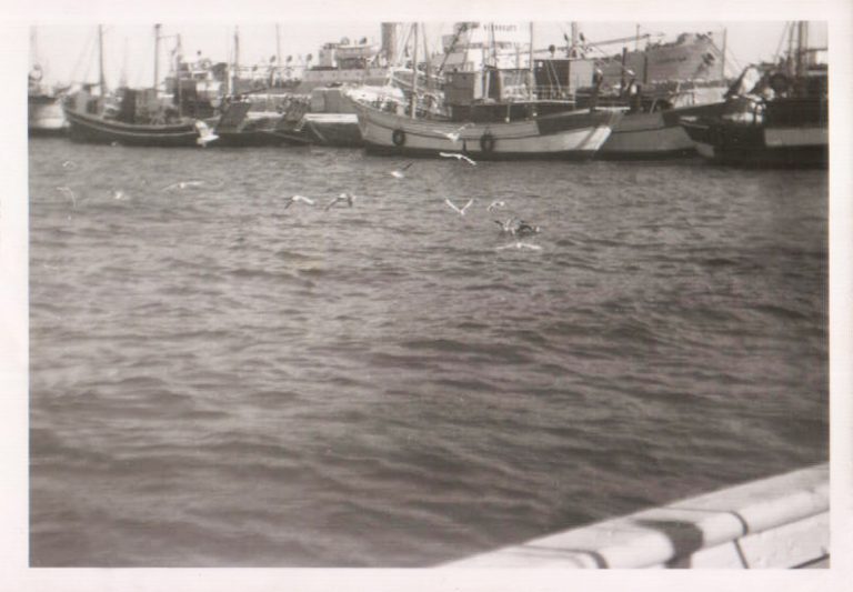 Muelle de pescadores – 1966